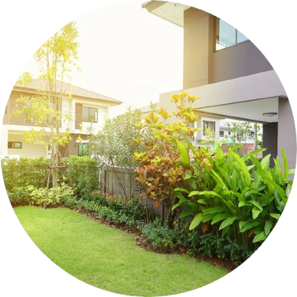 Jardim